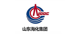 山东海化集团