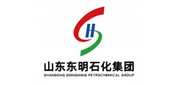 山东东明石化集团