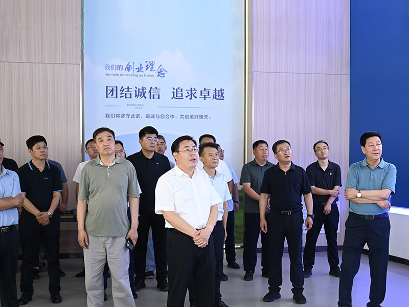 市长带领安丘企业家参观盛宝